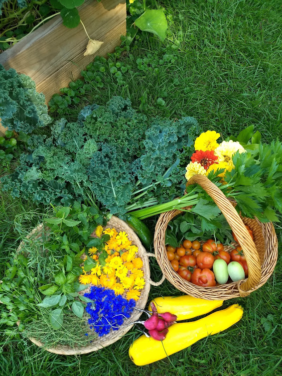 colorful harvest