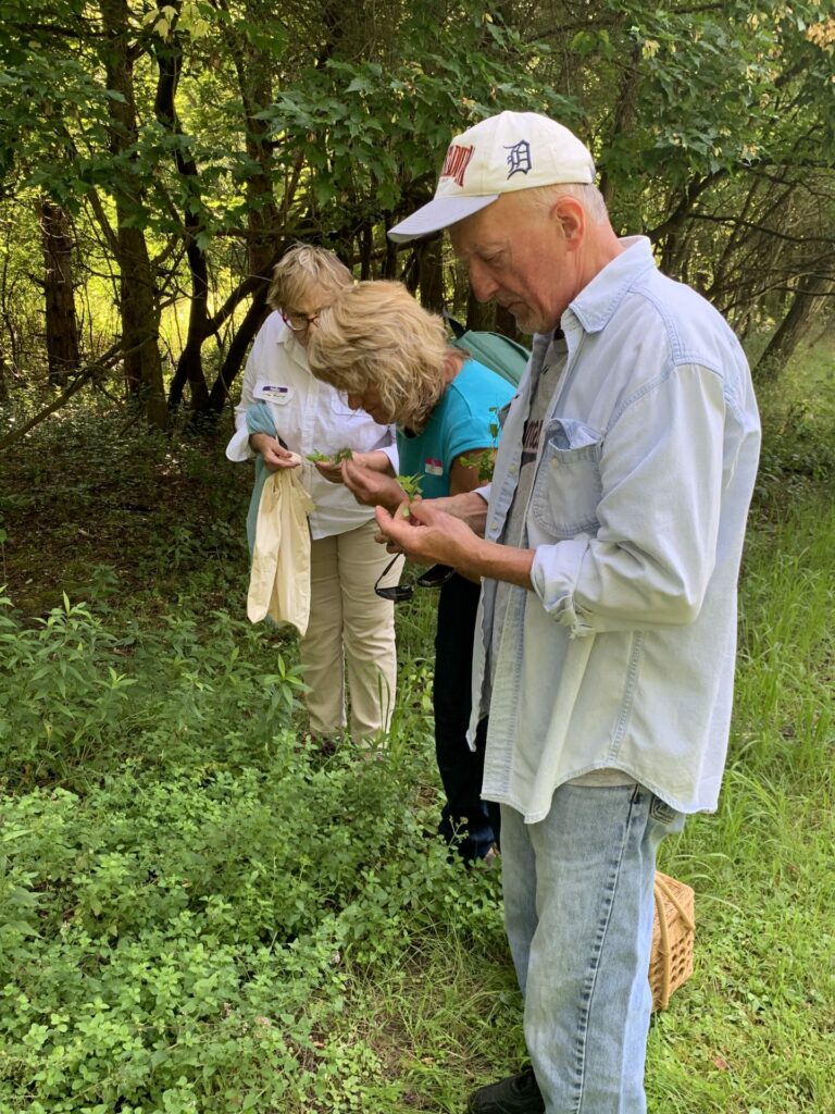 foraging walk