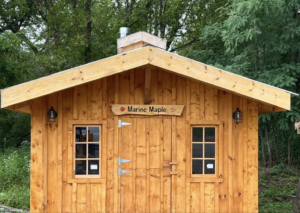 marine maple