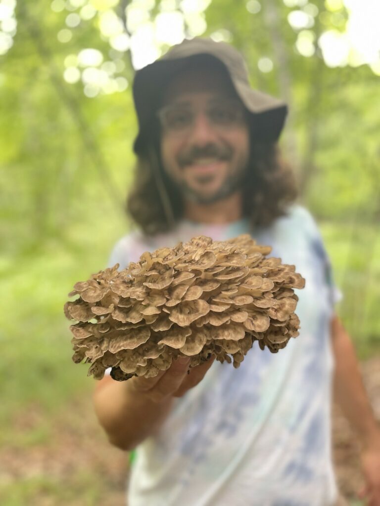 mushroom foraging