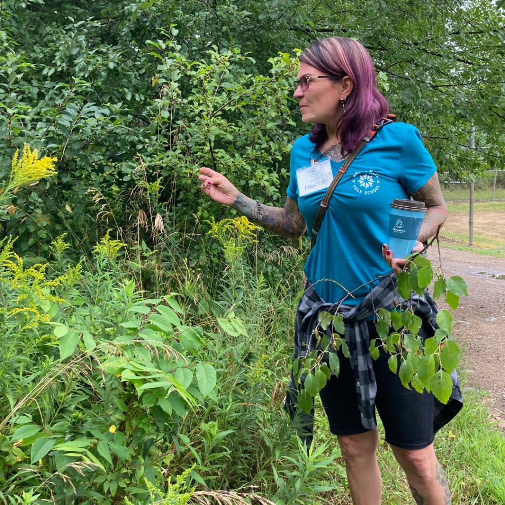 Foraging Walk with Heather Mashuga